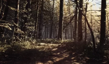 [单机游戏]《女巫布莱尔 Blair Witch》豪华版中文版下载